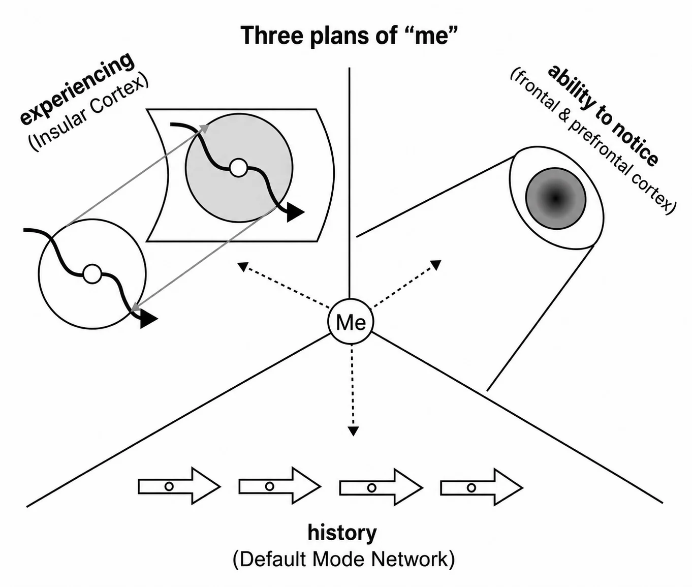 Three levels of the Self and the architecture of consciousness