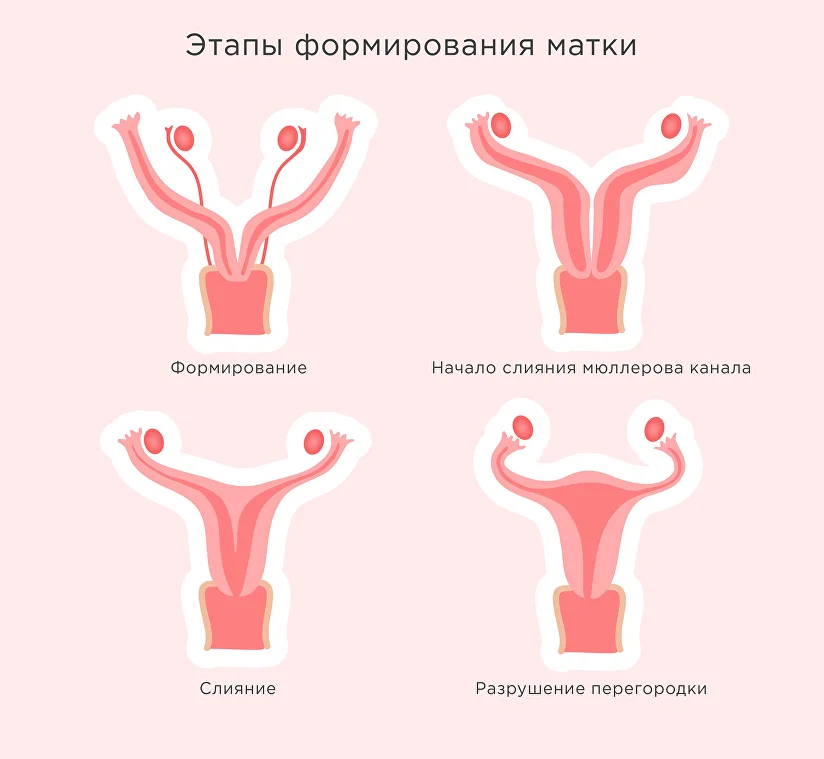 Тянет живот после месячных — опасные «звоночки»