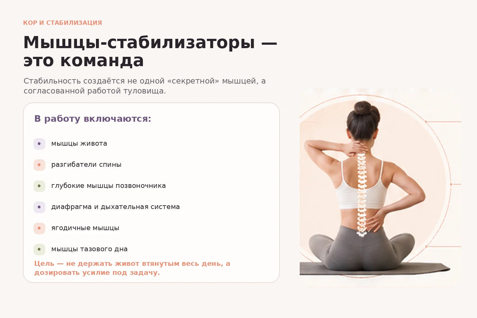 Мышцы-стабилизаторы и кор: совместная работа мышц для контроля положения туловища