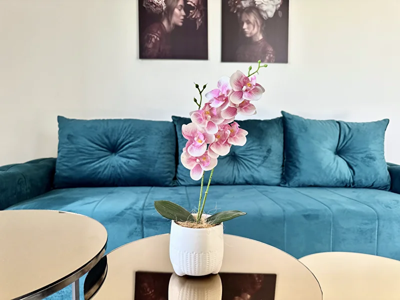 Apartman sa 1 spavaćom sobom, terasom i panoramskim pogledom na more, fotografija 10