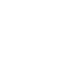 Pause Button