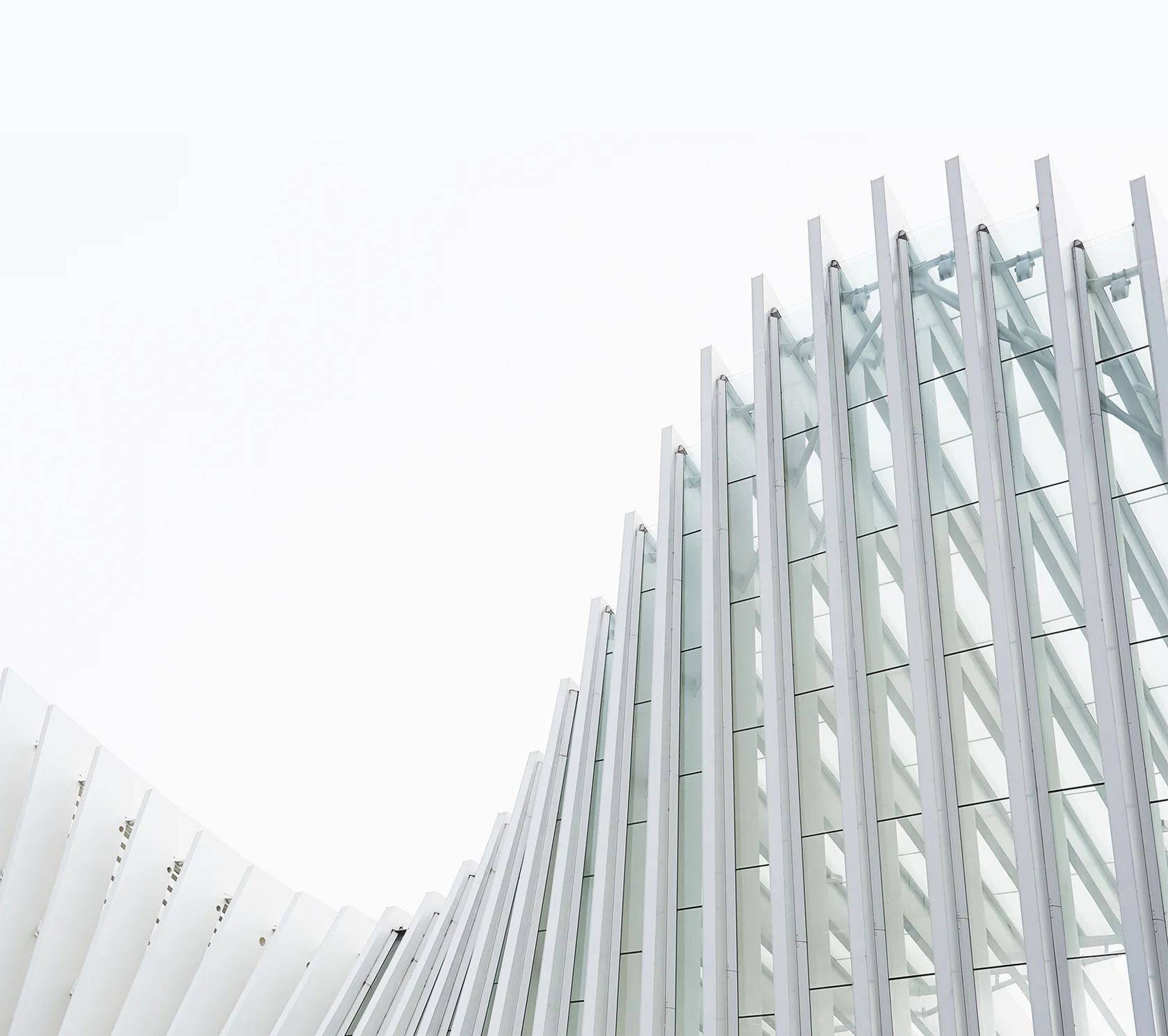 Обратный звонок. 