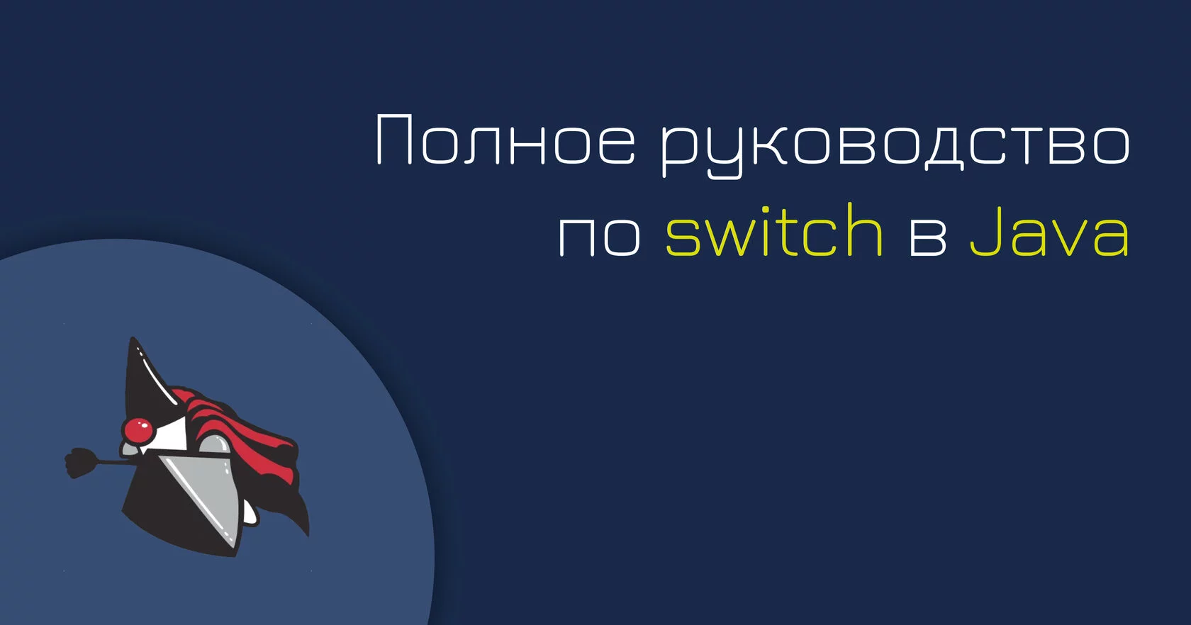 Полное руководство по switch-выражениям в Java