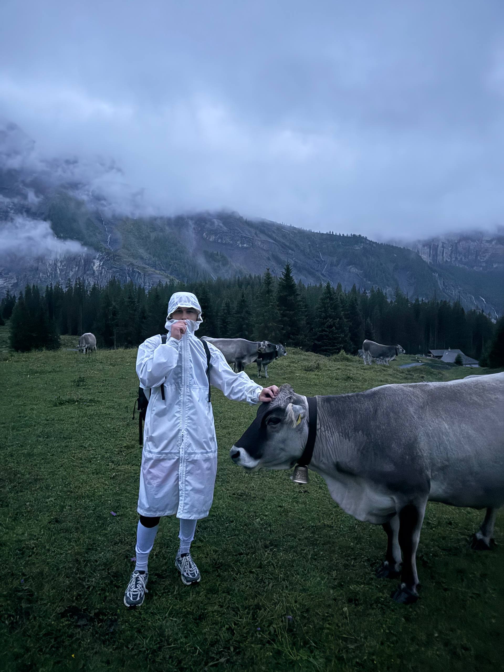 Стажировка