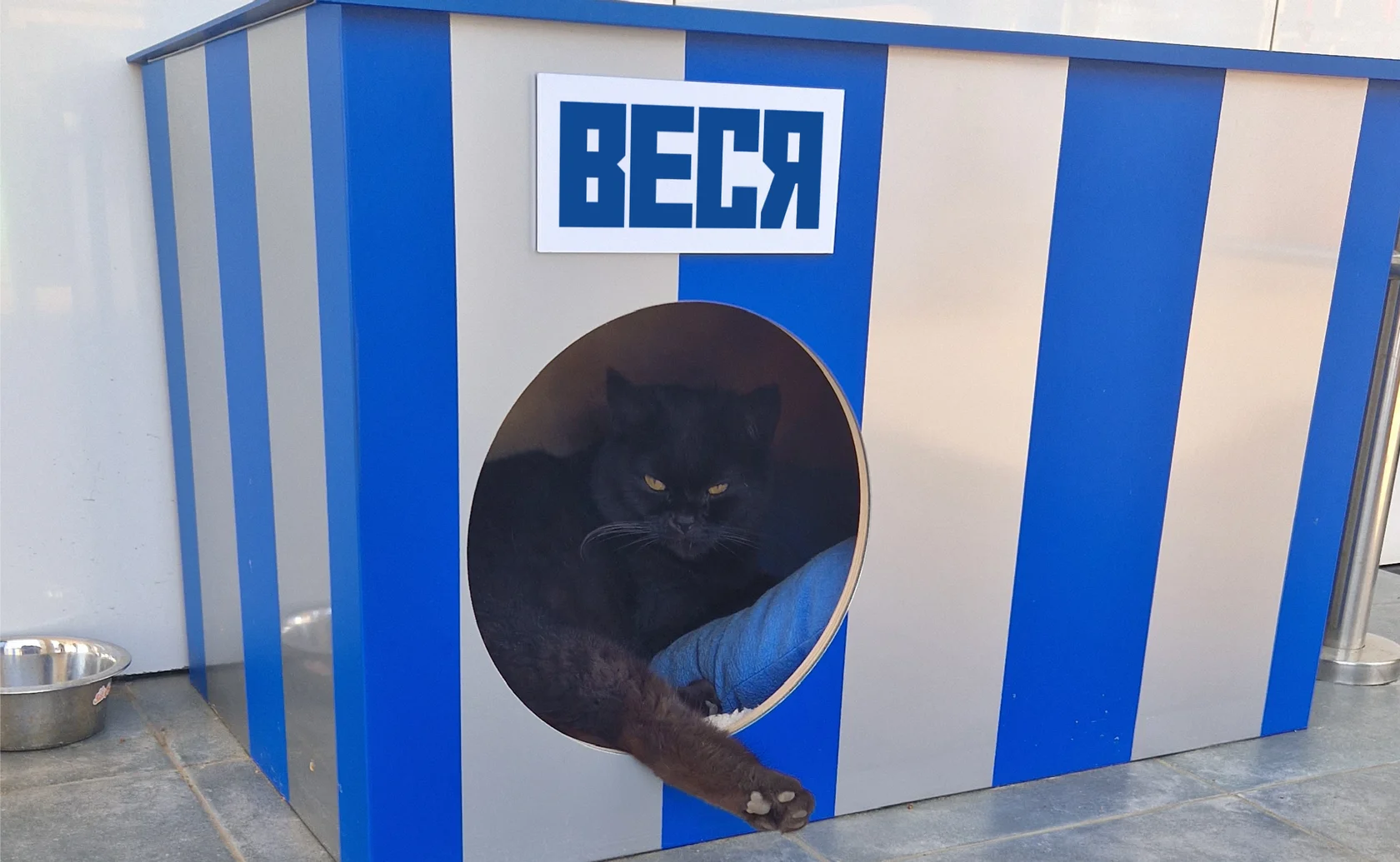 Веся