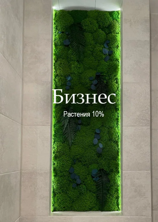 Панно мох и растения, пример реализации — Mossify