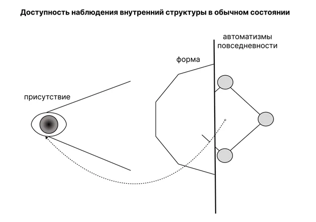 Доступность наблюдений внутренней структуры в обычном состоянии. Присутствие, форма, автоматизмы повседневности
