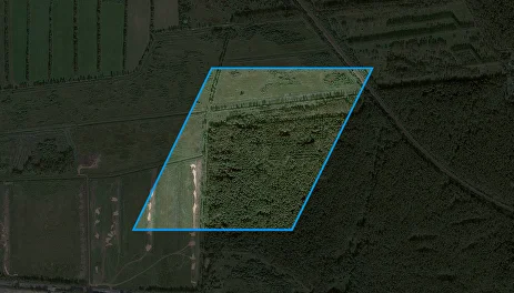 Digital Earth