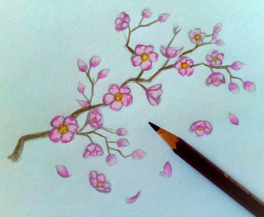 Как научиться рисовать цветок карандашом поэтапно?