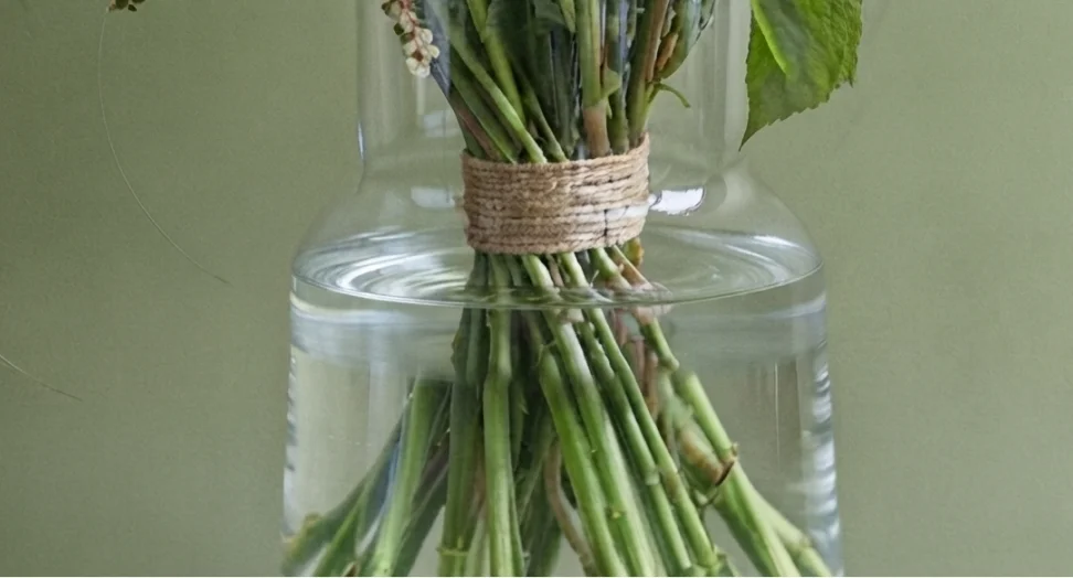 уровень воды в вазе