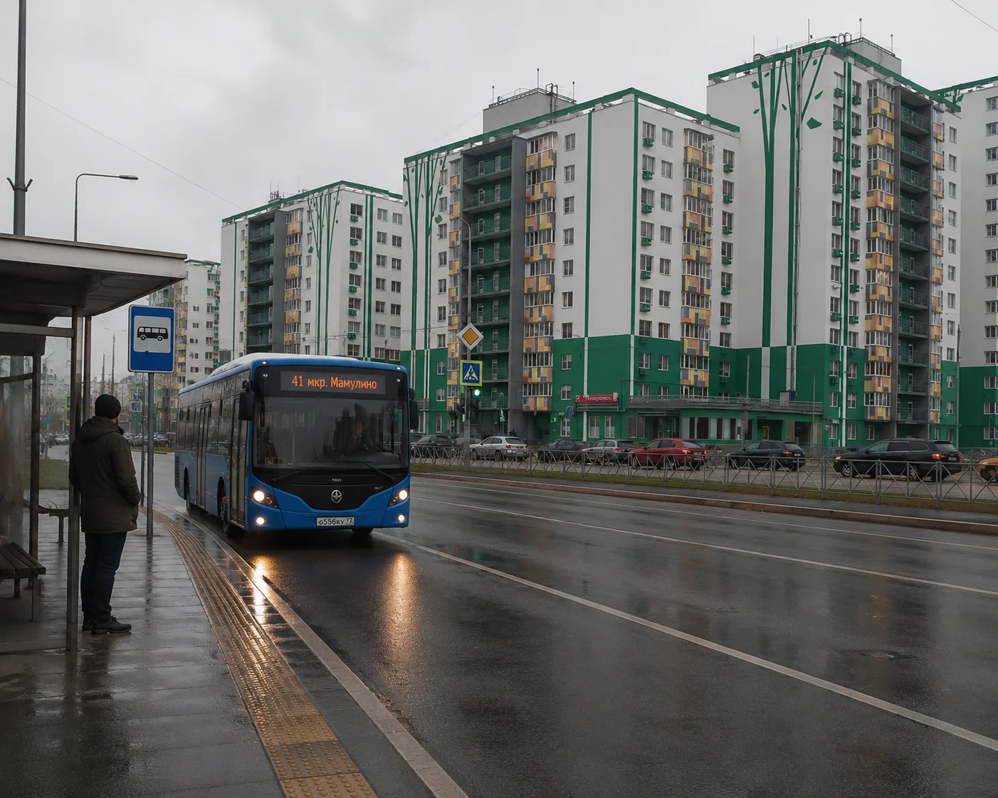 Инфраструктура района ЖК Мамулино
