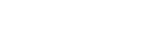 Логотип Академии Ирины Подзоровой