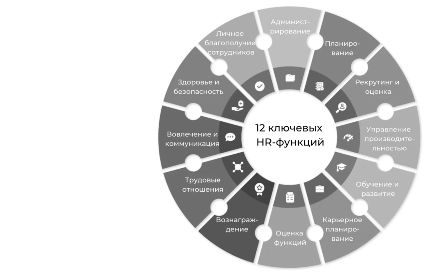 12 ключевых HR-функций HR Департамента