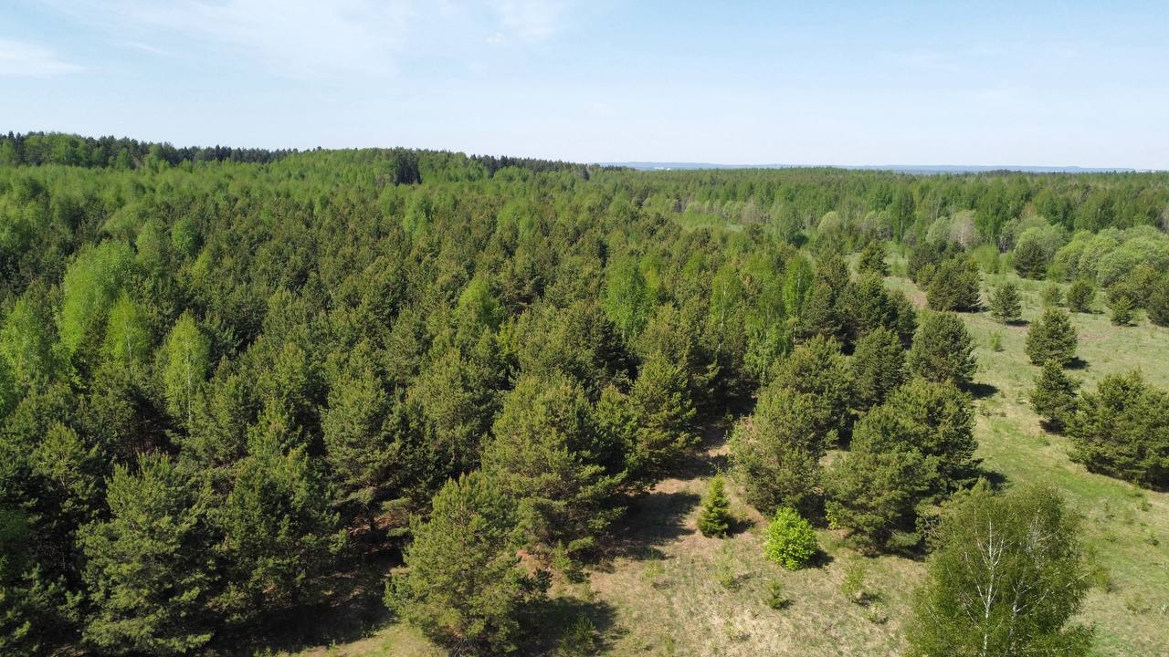 Панорама Камы