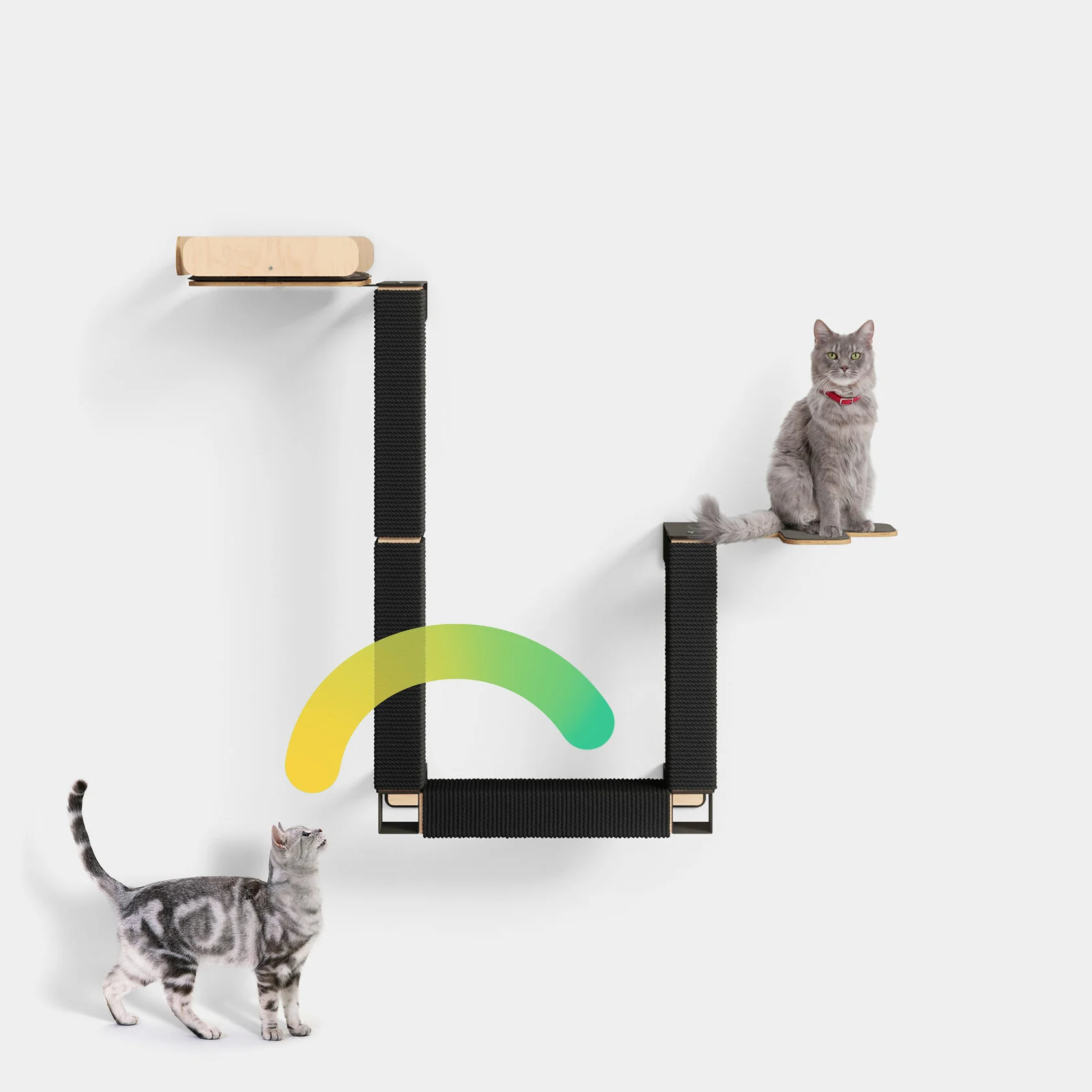 Miioo - магазин стильных товаров для для кошек