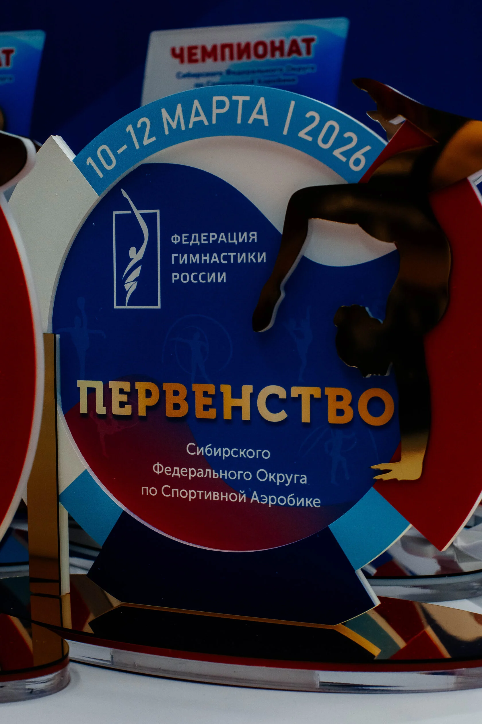 Чеснаков А.А.