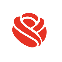 Азалия Цветы