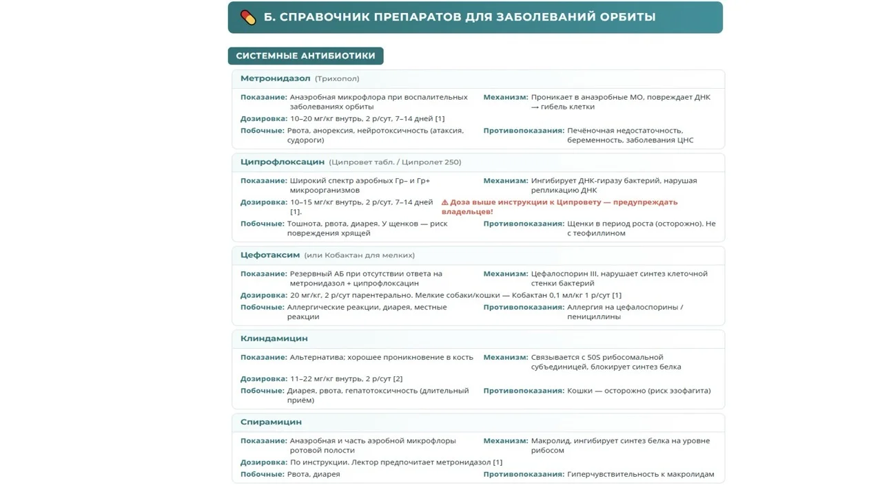 Шпаргалка 2