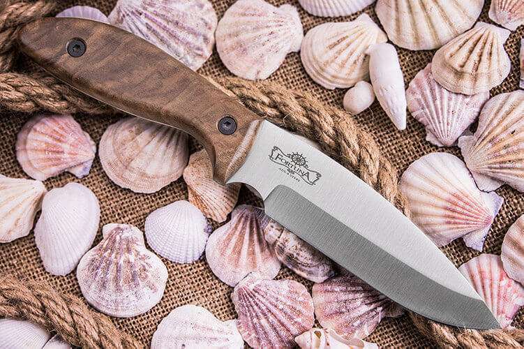 Kizlyar Supreme FORTUNA outdoor knife