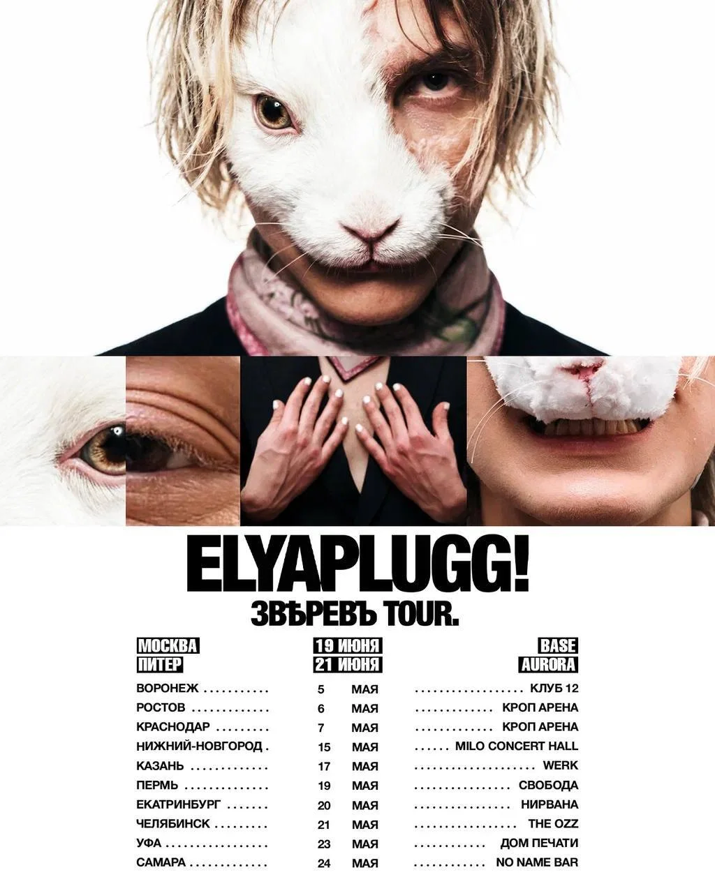 elyaplugg!