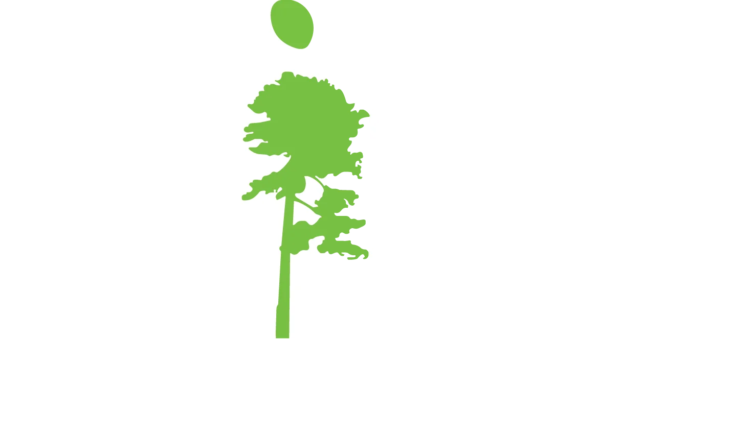 Загородный отель Pine River — отдых от города в самом сердце леса