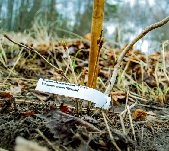 Зелёная экономика — понятие, принципы и перспективы развития