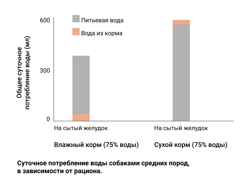 Можно ли смешивать сухой и влажный корм для кошек?