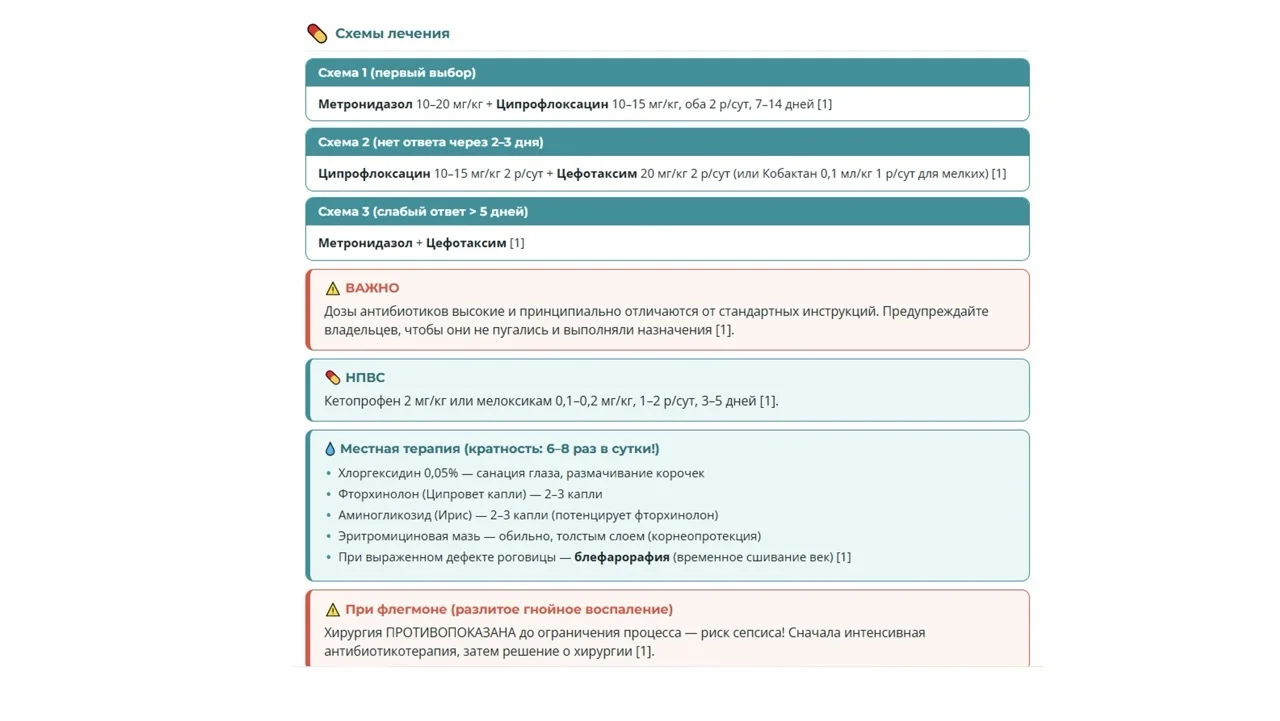 Шпаргалка 6