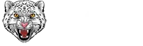 БАРС