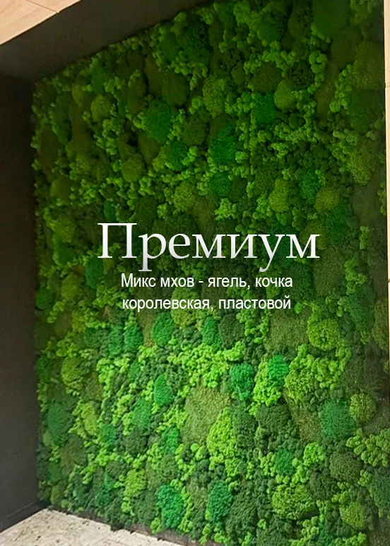 Панно из микса стабилизированного мха в интерьере — Mossify