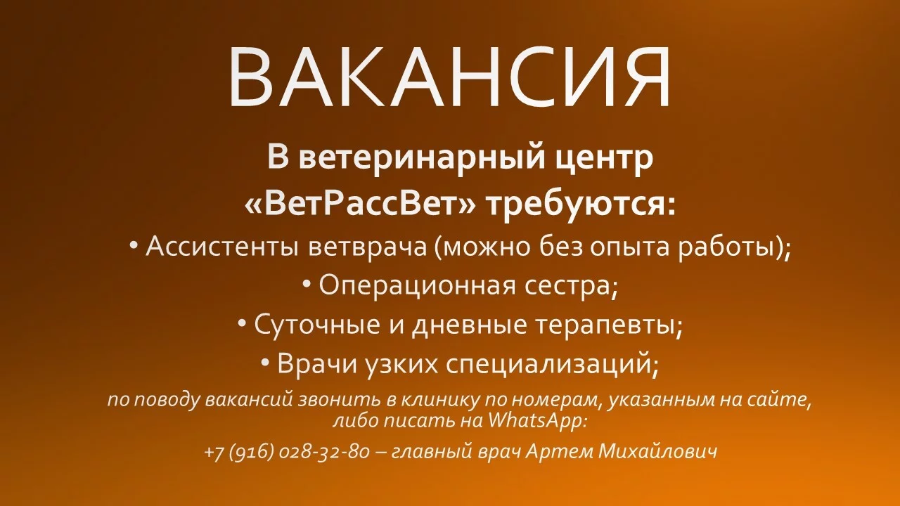 Ветеринарный центр в Жуковском районе