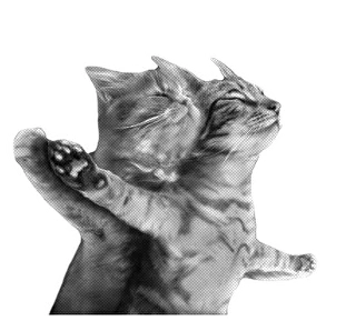 Порно сексте сплит созылу