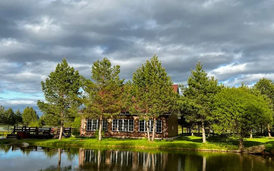 Отзывы родителей и истории успеха