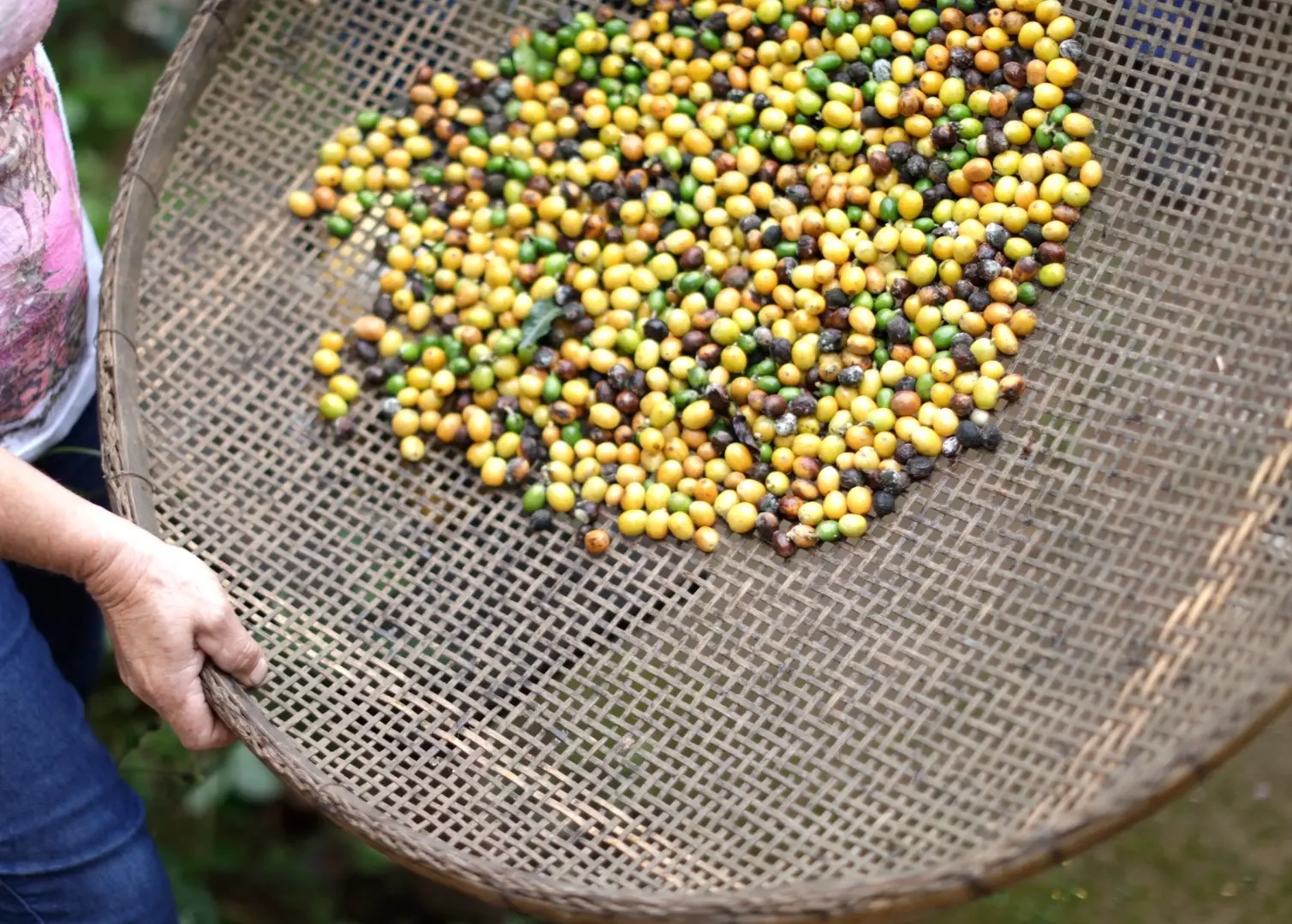 Нижняя галерея 3