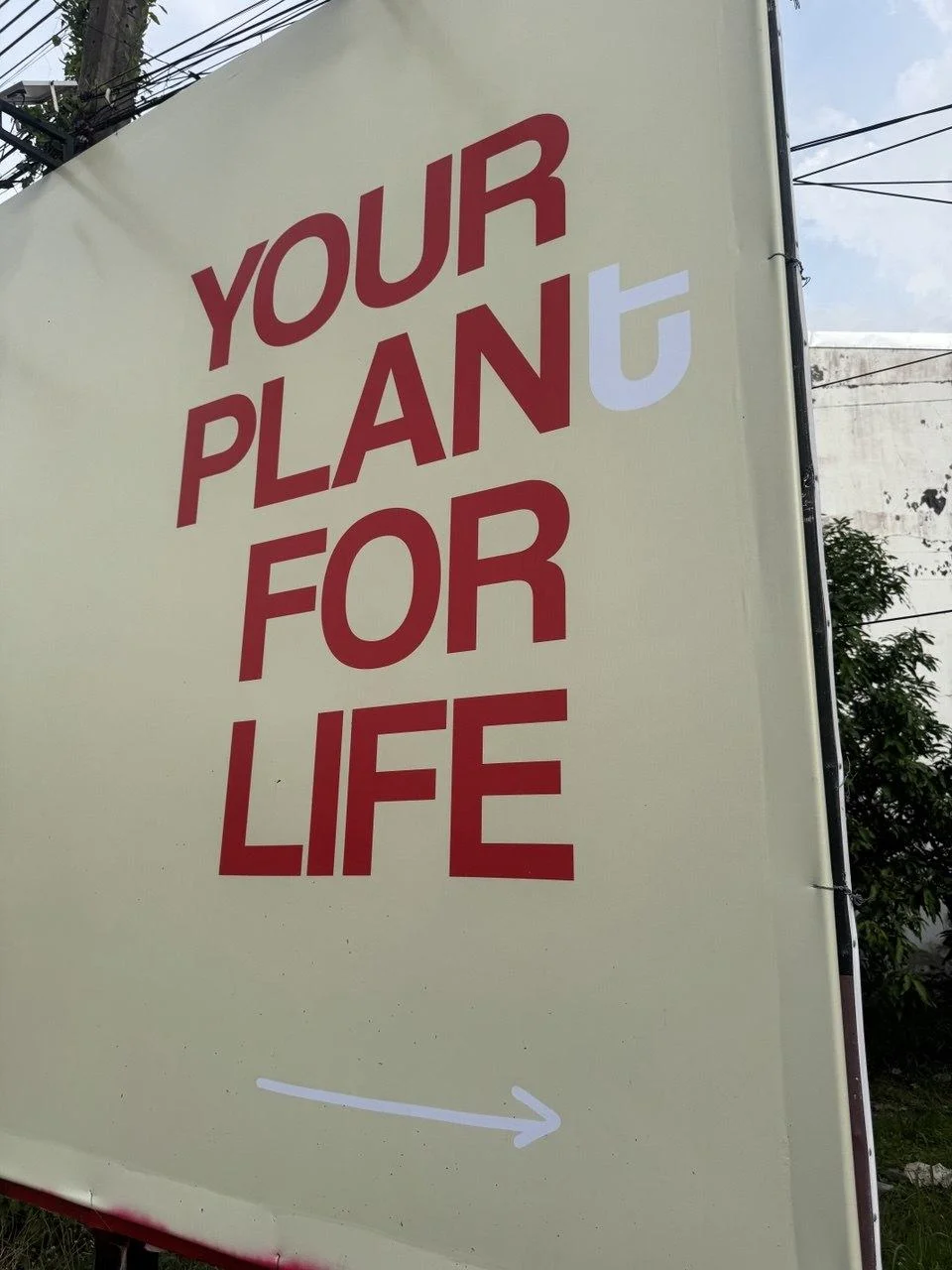 Щит кампании Redwood — Your plant for life