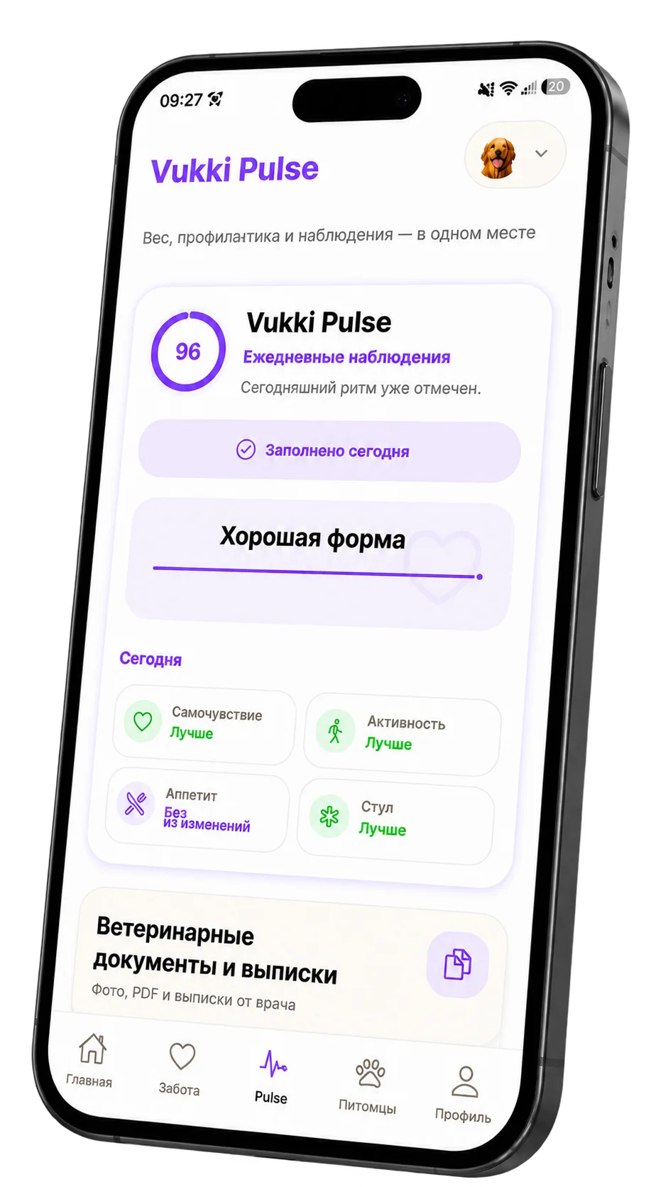 Экран Vukki Pulse с ежедневными наблюдениями