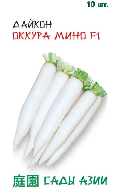 image.png.webp