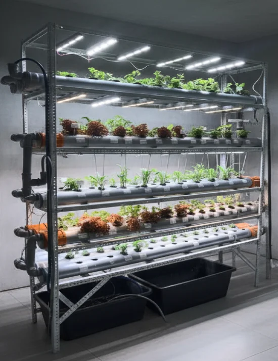 Стеллажный комплекс