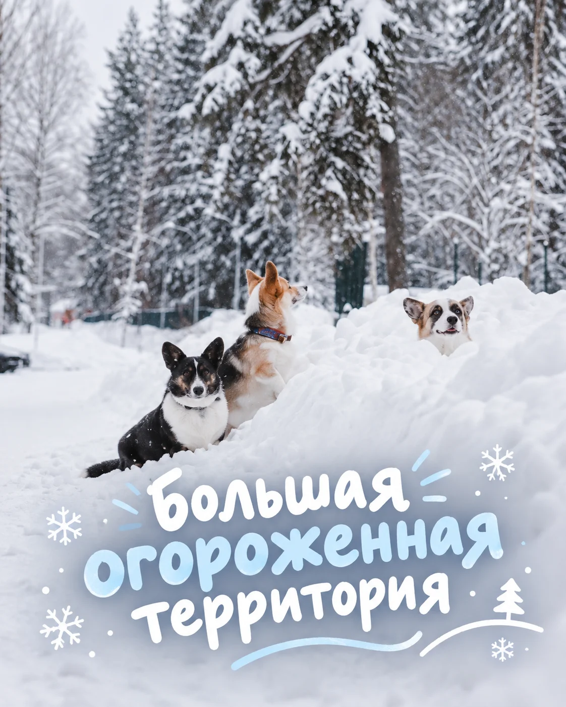 Парк-отель Долина Иволга