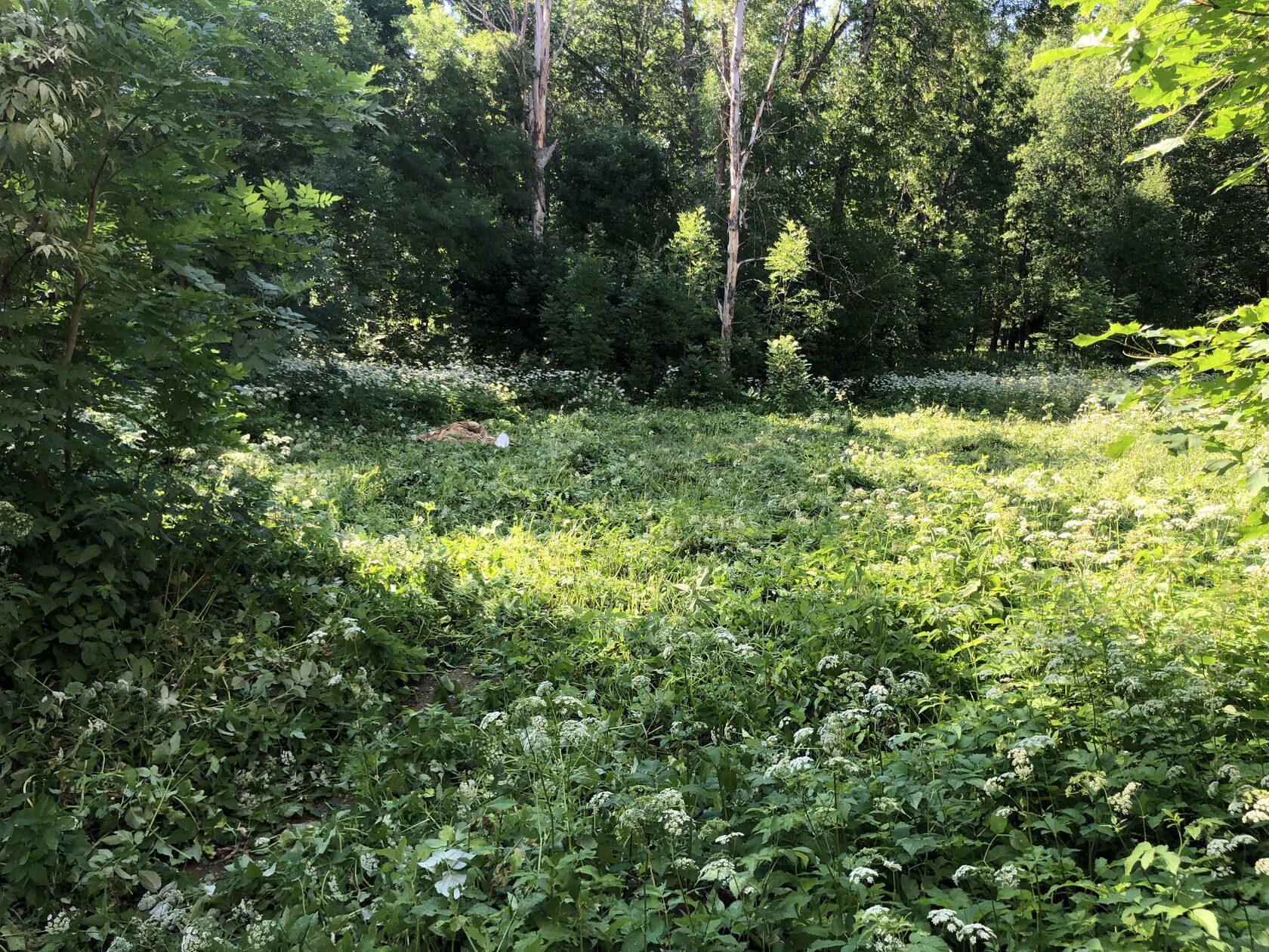 Подход к замку