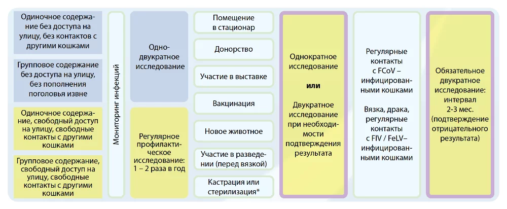 Опухоли желудочно-кишечного тракта у собак - статьи о ветеринарии «Свой Доктор»