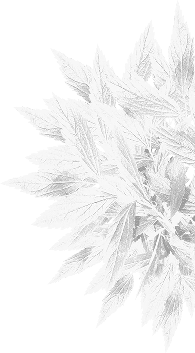 Эмма Уотсонның порно жинағы